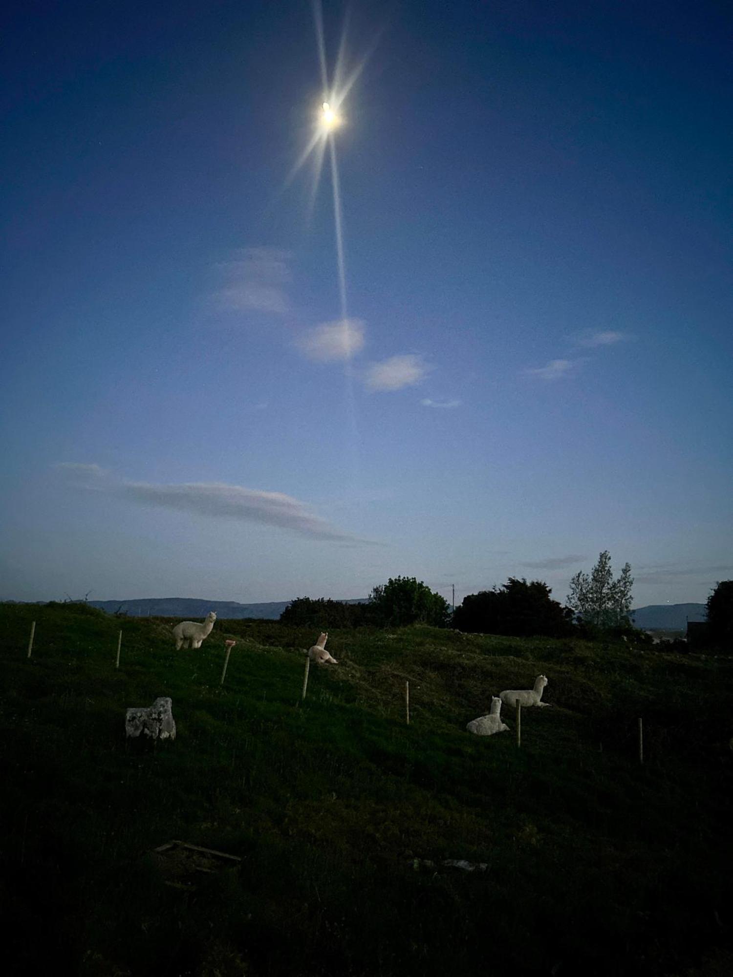 The Creevy Cabin Ballure Εξωτερικό φωτογραφία